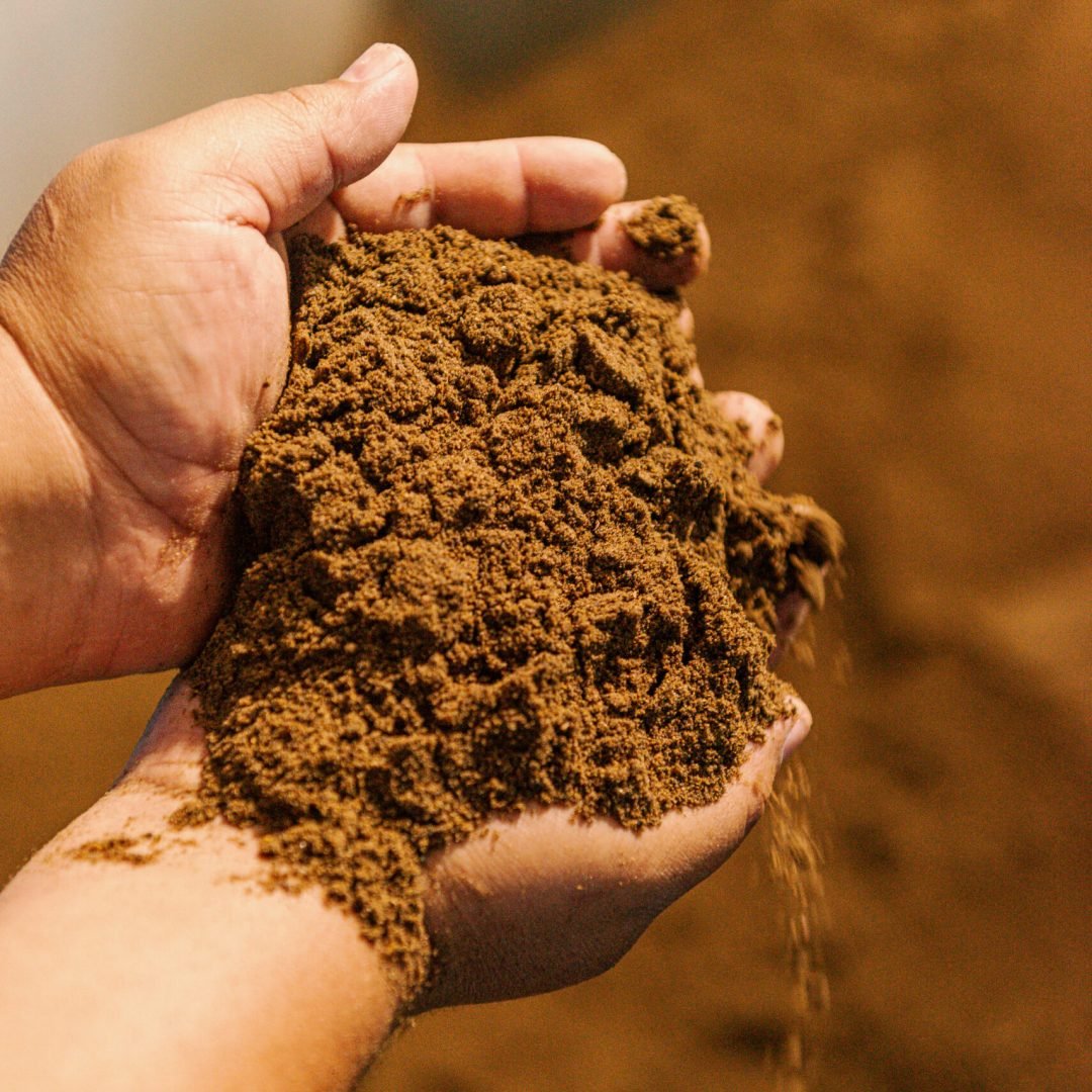 Farinha de Vísceras de Aves